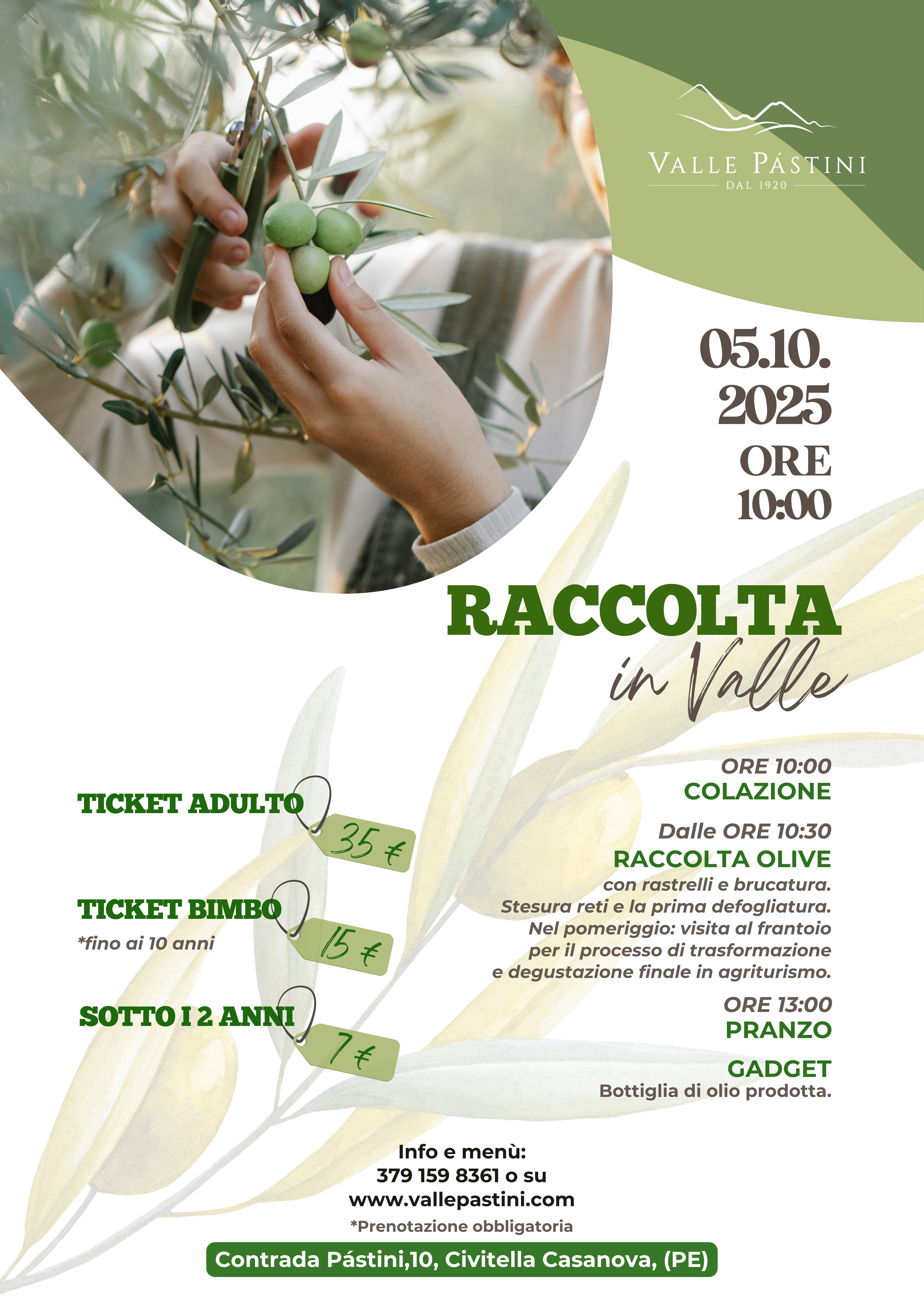 RACCOLTA in Valle - Raccolta olive per grandi e piccini