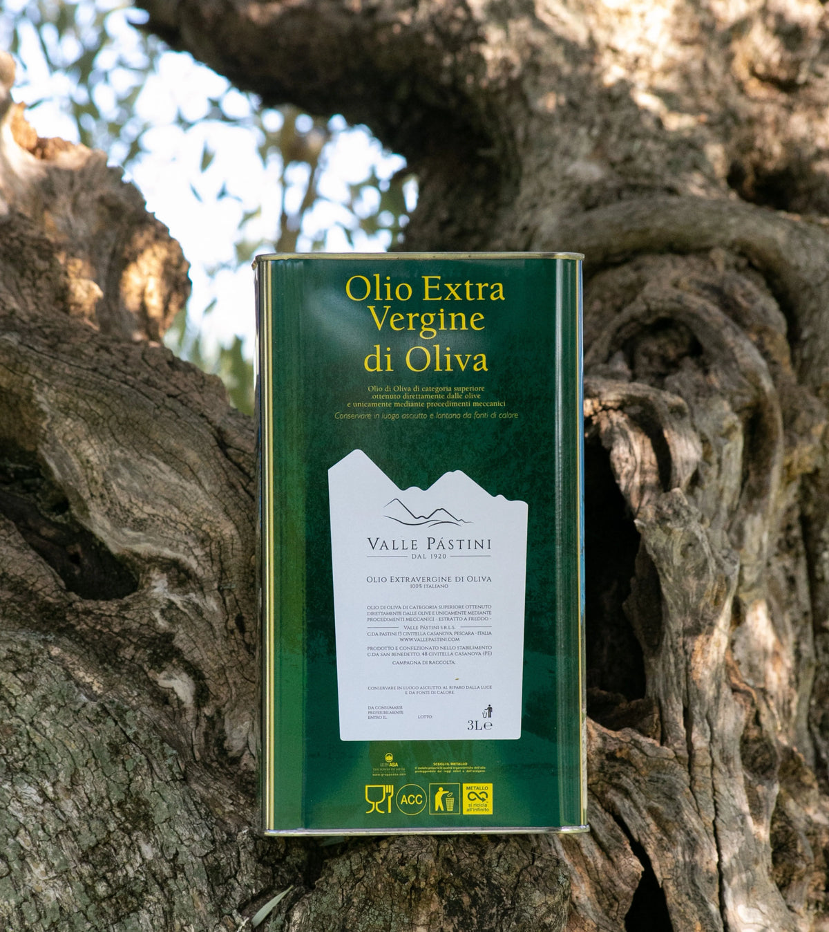 OLIO EXTRAVERGINE DI OLIVA 3L