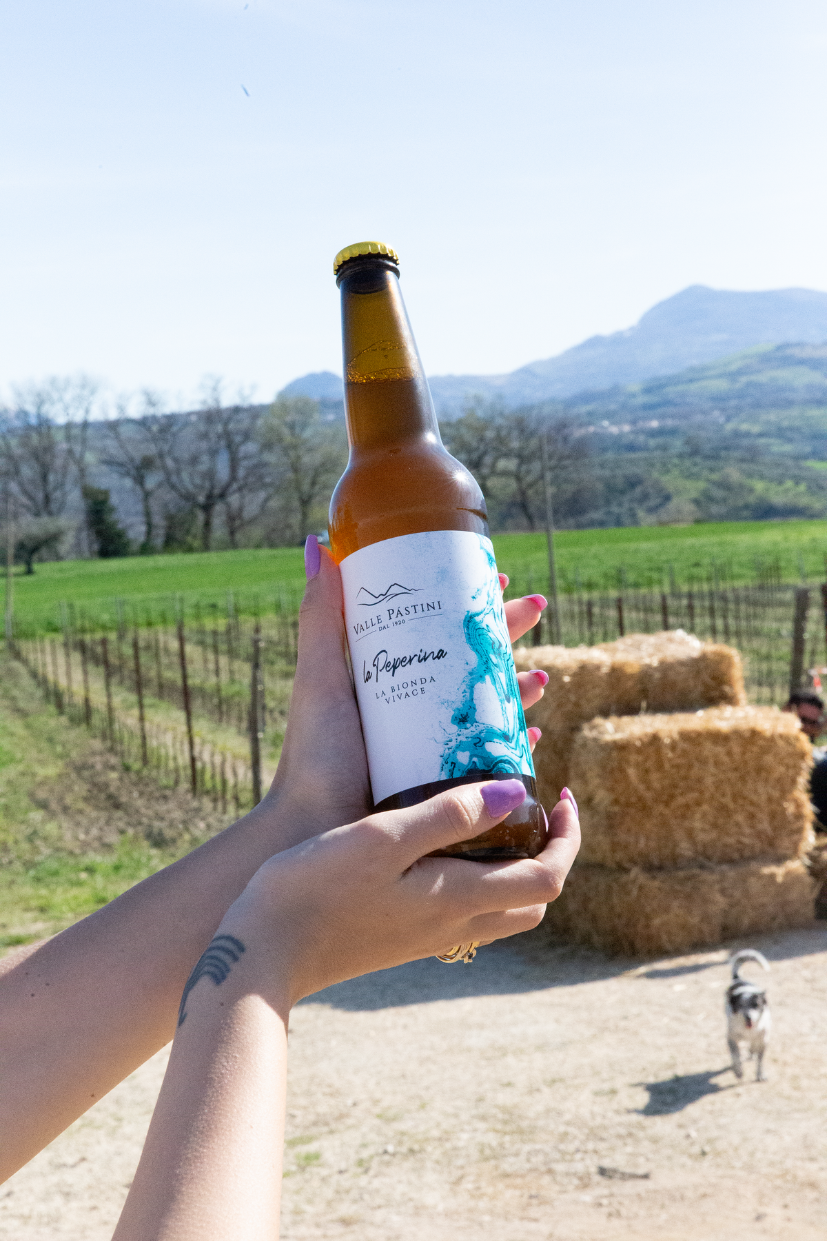 Birra