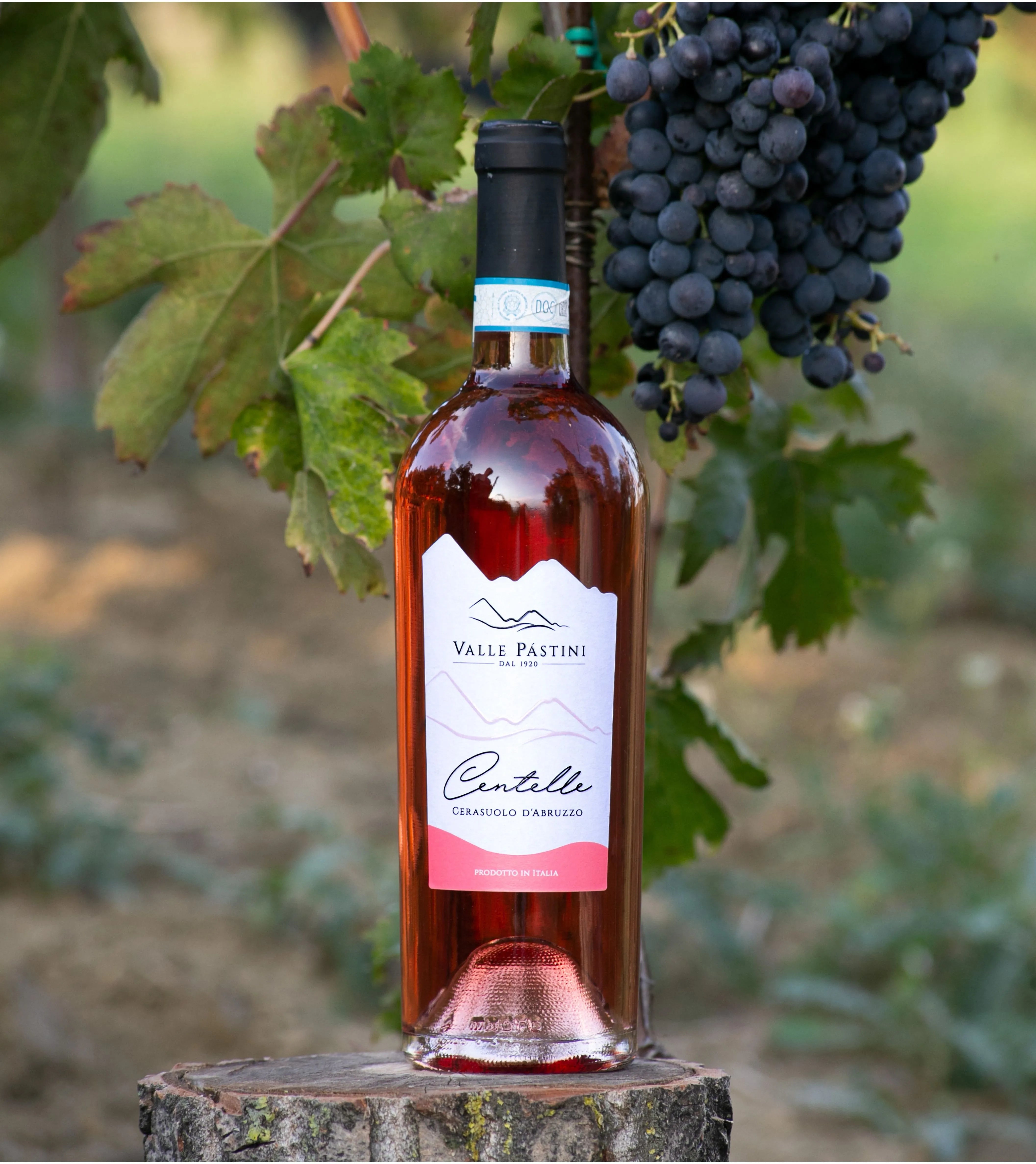 CERASUOLO D'ABRUZZO DOC