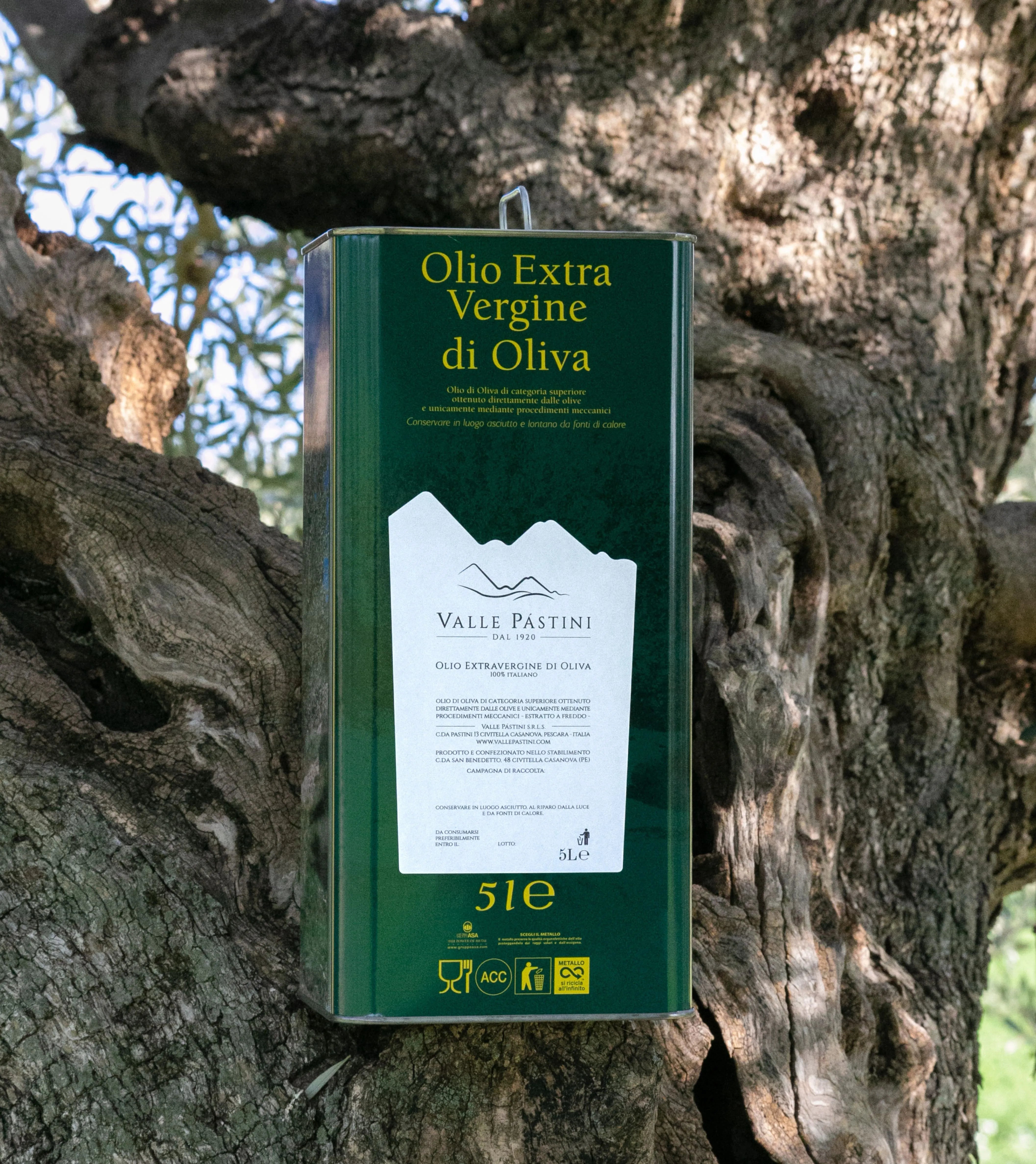 OLIO EXTRAVERGINE DI OLIVA 3L