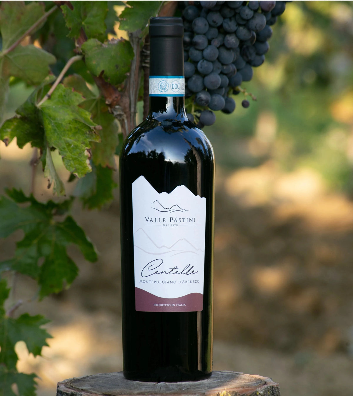 MONTEPULCIANO D'ABRUZZO DOC - ANNATA 2022