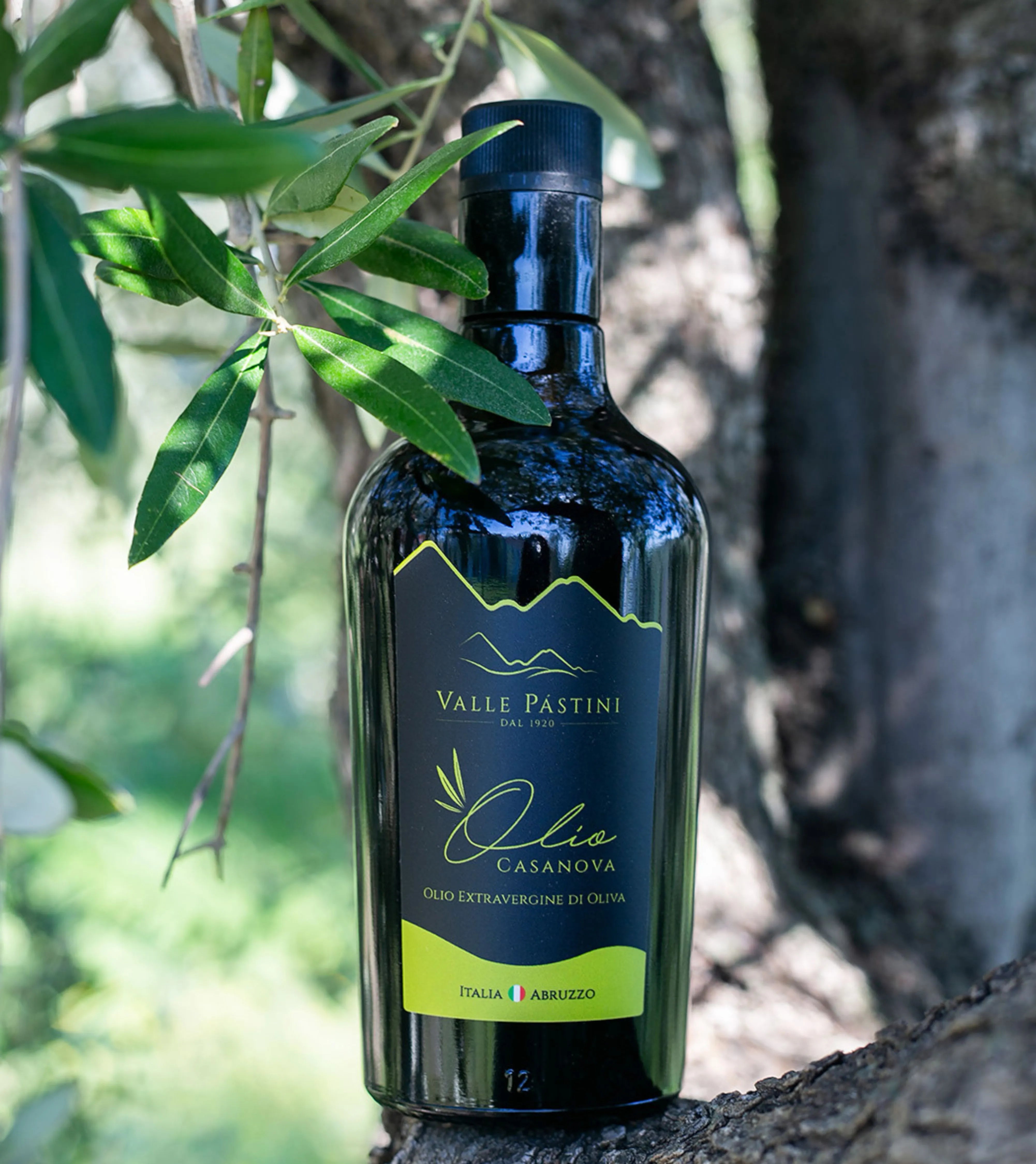 OLIO EXTRAVERGINE DI OLIVA - CASANOVA